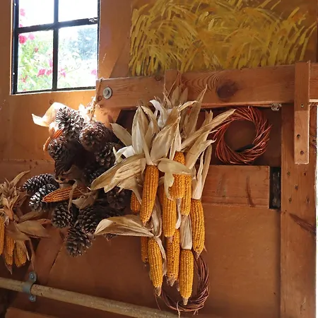 Lejlighed Rustic Getaway Buschenhagen