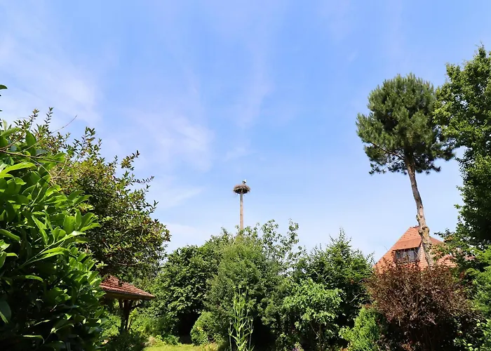 アパート Rustic Getaway *