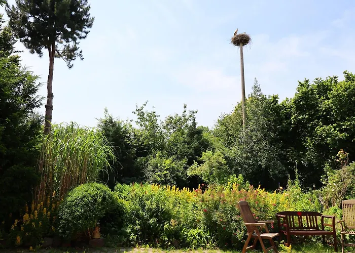 Rustic Getaway アパート